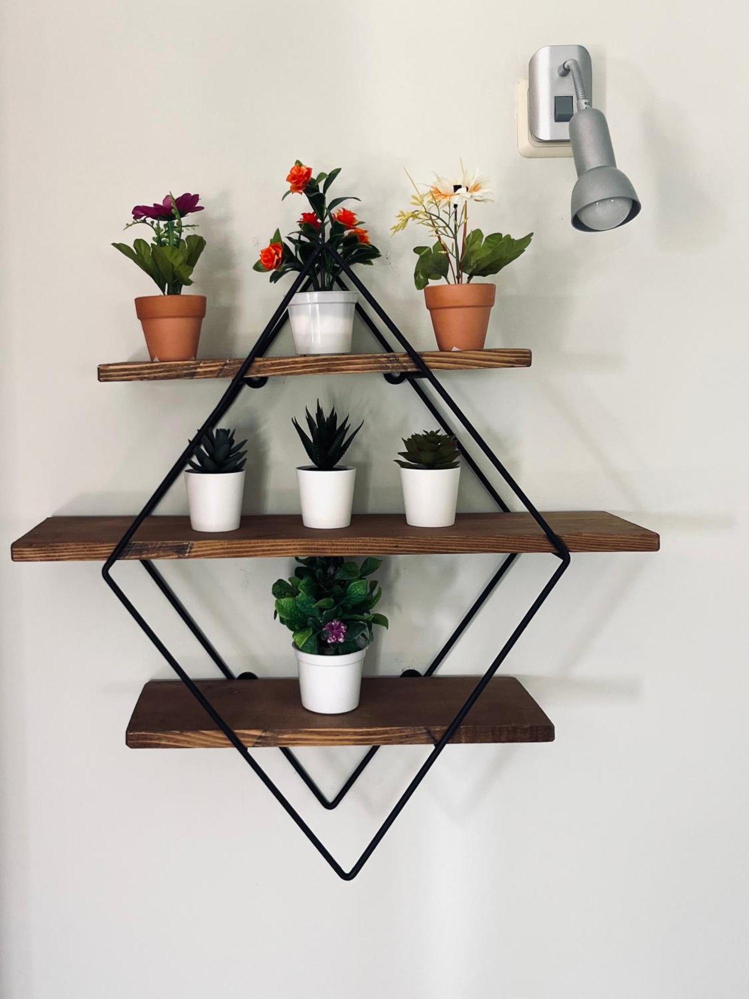 Apartment Amaryllis